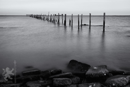Cottony Water at Sylvan Beach