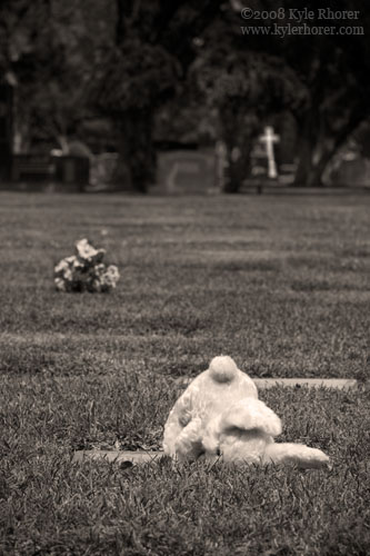Forgotten
