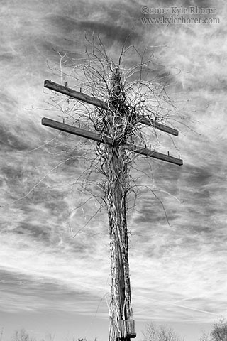 Entangled Spirits